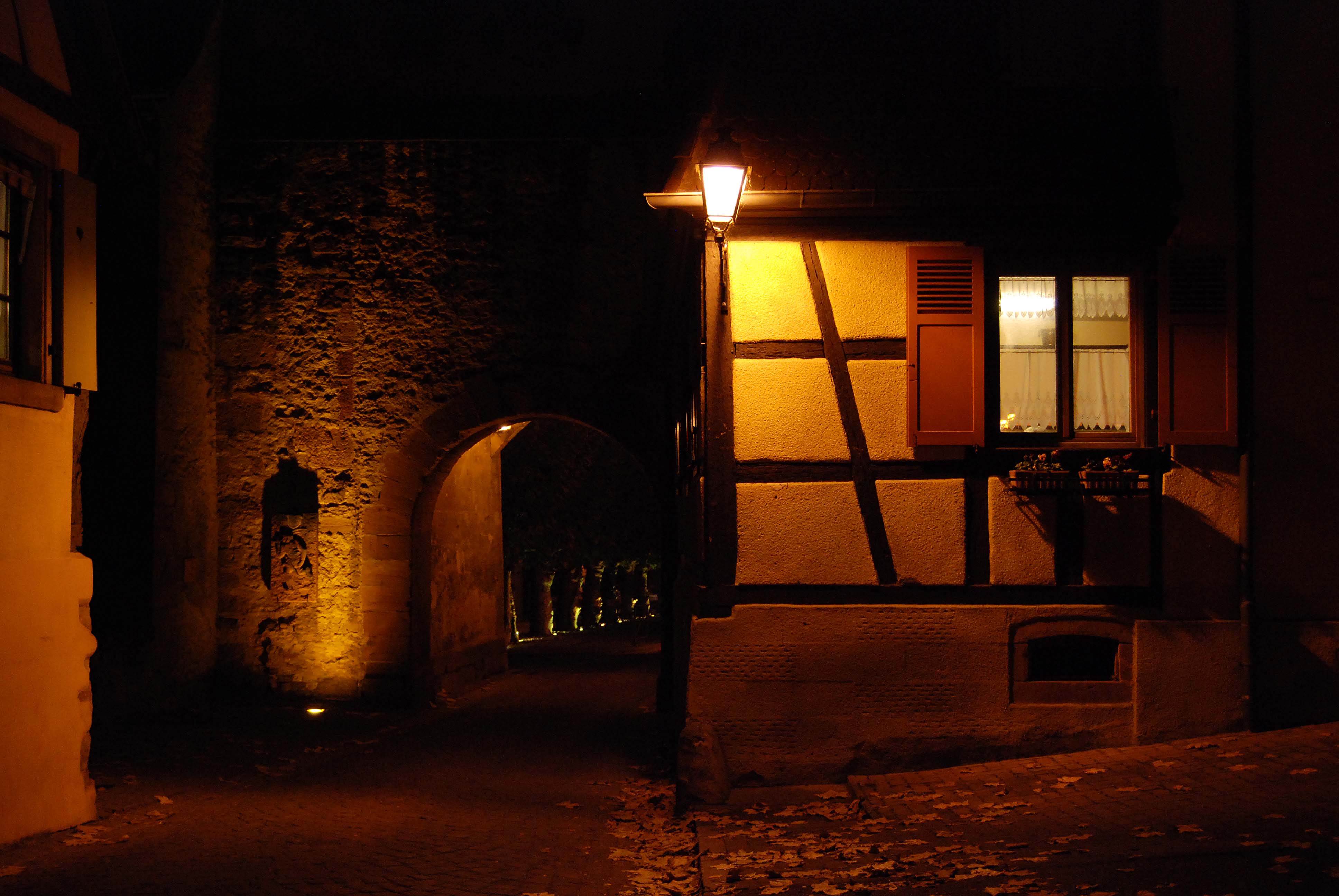 Bergheim by night